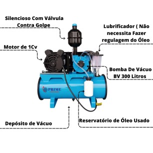 Ordenha Unidade De Vácuo Bomba 300 Litros Motor De 1Cv Prime 